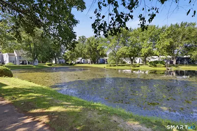 30 Cinnamon Springs #30, South Windsor, CT 06074 - Photo 17