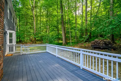 10 Leopard Drive, Newtown, CT 06482 - Photo 31
