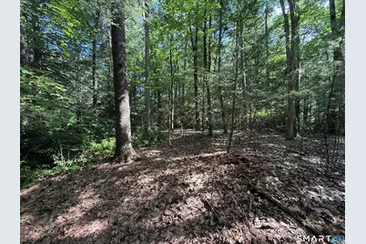 Tayler Trail, Woodstock Valley, CT 06281 - Photo 3