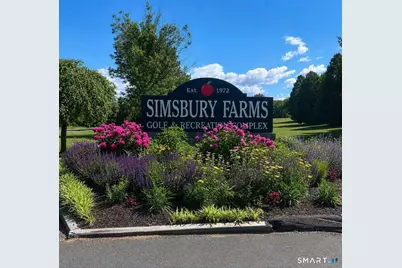 112 Hedgehog Lane, Simsbury, CT 06092 - Photo 33
