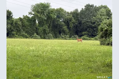 [Address not provided], Coventry, CT 06238 - Photo 5