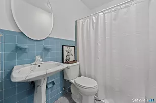 118 Sherry Ln, New Milford, CT 06776 - Photo 19