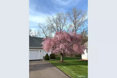 7 Alexandra Lane #7, Rocky Hill, CT 06067 - Photo 33