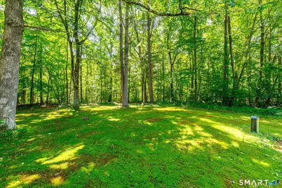 176 Joy Road, Woodstock Valley, CT 06281 - Photo 9