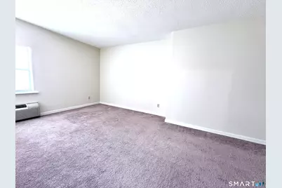 163 South Street #50, Danbury, CT 06810 - Photo 19