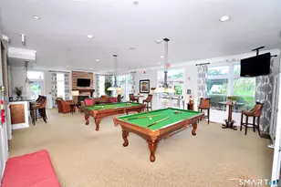 6 Woodland Path, Beacon Falls, CT 06403 - Photo 33