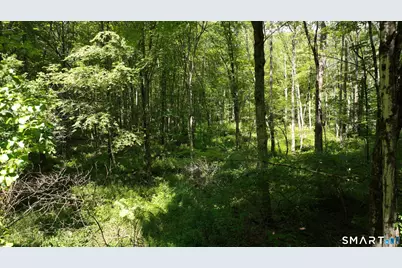 121 Walker Road, Canterbury, CT 06331 - Photo 9