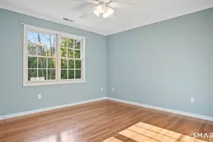 32 Pine Tree Hill Rd, Newtown, CT 06470 - Photo 23
