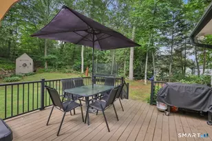 51 Mt Vernon Ave, Waterbury, CT 06708 - Photo 25