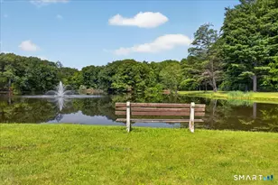 253 Carriage Dr, Southington, CT 06489 - Photo 27
