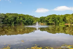 253 Carriage Dr, Southington, CT 06489 - Photo 21