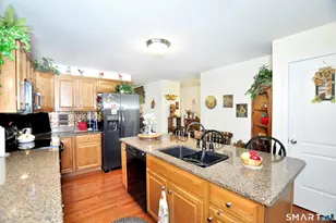 65 Mourning Dove Trail, East Windsor, CT 06088 - Photo 11