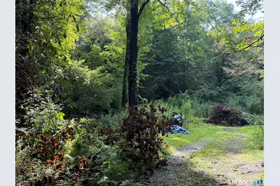 Wheeler Road, Litchfield, CT 06759 - Photo 5