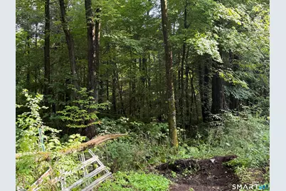Wheeler Road, Litchfield, CT 06759 - Photo 3
