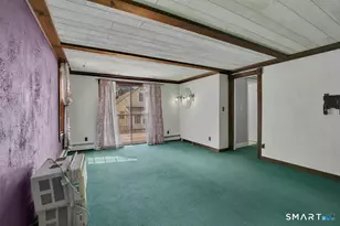 65 Doane St, Manchester, CT 06042 - Photo 19