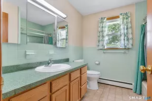 29 Saw Mill Rd, New Fairfield, CT 06812 - Photo 13