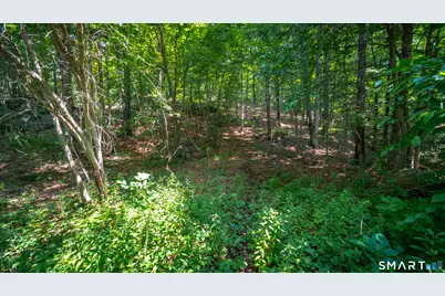 61 Silver Springs Drive, Haddam, CT 06441 - Photo 5