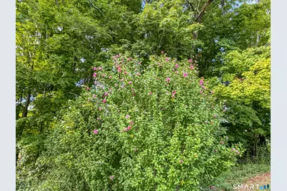 [Address not provided], Ashford, CT 06278 - Photo 35