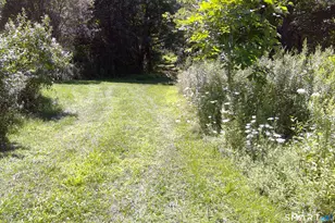 92 Pine St, Columbia, CT 06237 - Photo 21