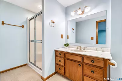120 Green Tree Lane, Somers, CT 06071 - Photo 29