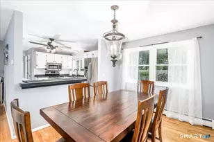 13 Far Horizons Dr, Bethel, CT 06801 - Photo 5