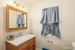 20 Dick Finn Rd, New Fairfield, CT 06812 - Photo 19