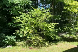 215 Foxwood Ln, Milford, CT 06461 - Photo 17