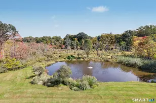 28 Mead Ridge Rd, Ridgefield, CT 06877 - Photo 29