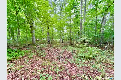 228-B Mile Creek Road, Old Lyme, CT 06371 - Photo 7