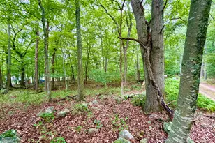 228-B Mile Creek Rd, Old Lyme, CT 06371 - Photo 9