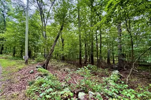 228-B Mile Creek Rd, Old Lyme, CT 06371 - Photo 5