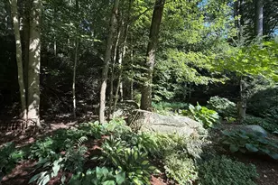 300 Killingworth Rd, Haddam, CT 06441 - Photo 19