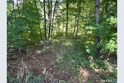 56 Hubbell Mountain Road, Sherman, CT 06784 - Photo 1