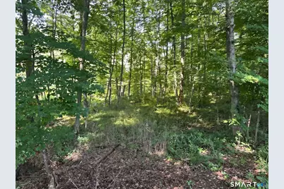 56 Hubbell Mountain Road, Sherman, CT 06784 - Photo 3