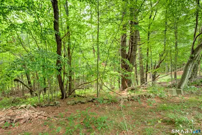 20 Ridgewood Road, Willington, CT 06279 - Photo 21