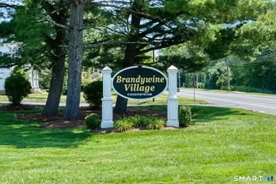 45 Brandywine Lane #45, Suffield, CT 06078 - Photo 23
