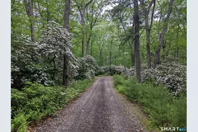 150-1 Mitchell Hill Road, Lyme, CT 79532 - Photo 23