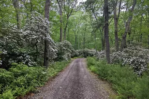 150 -1 Mitchell Hill Rd, Lyme, CT 79532 - Photo 23