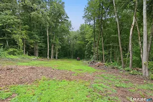 931 Chestnut Hill Rd, Glastonbury, CT 06073 - Photo 29