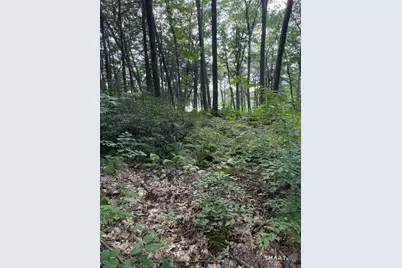 Spectacle Ridge Road, Kent, CT 06785 - Photo 7
