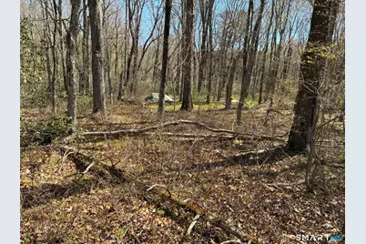 Madison Road, Durham, CT 06422 - Photo 7