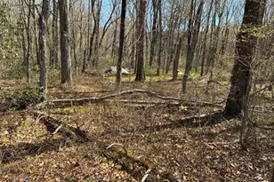 Madison Rd, Durham, CT 06422 - Photo 7