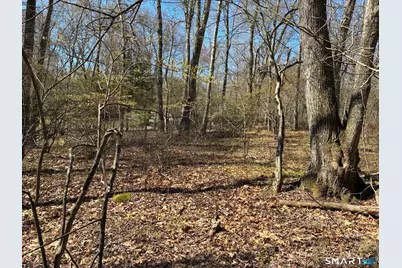 Madison Road, Durham, CT 06422 - Photo 5