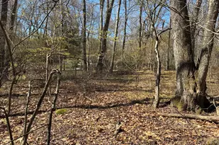 Madison Rd, Durham, CT 06422 - Photo 5