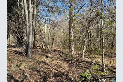 Madison Road, Durham, CT 06422 - Photo 13