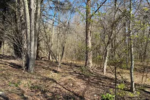 Madison Rd, Durham, CT 06422 - Photo 13