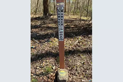 Madison Road, Durham, CT 06422 - Photo 11