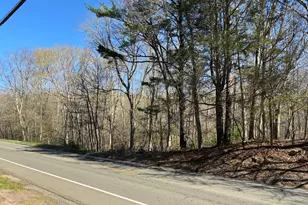Madison Rd, Durham, CT 06422 - Photo 17