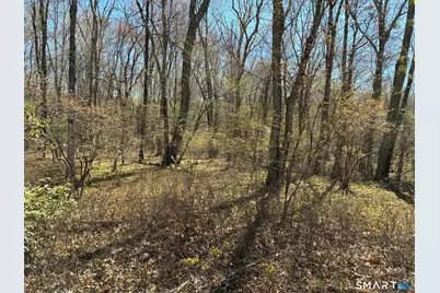 Madison Road, Durham, CT 06422 - Photo 3