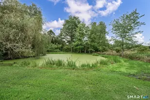 1105 Northrop Rd, Wallingford, CT 06492 - Photo 29